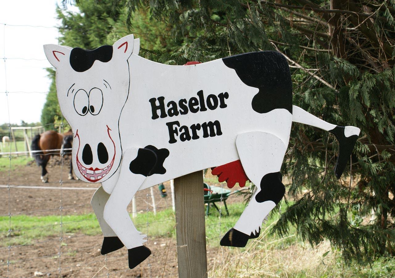 Haselor Farm B & B Evesham Kültér fotó